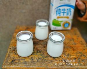 自制原味酸奶（纯牛奶版）的做法 步骤11