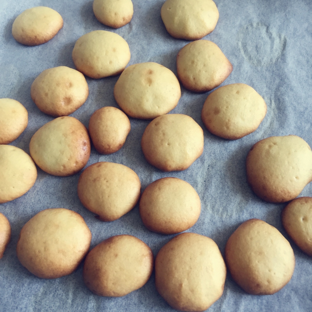 婴儿辅食版蛋奶小饼干（简单快手）