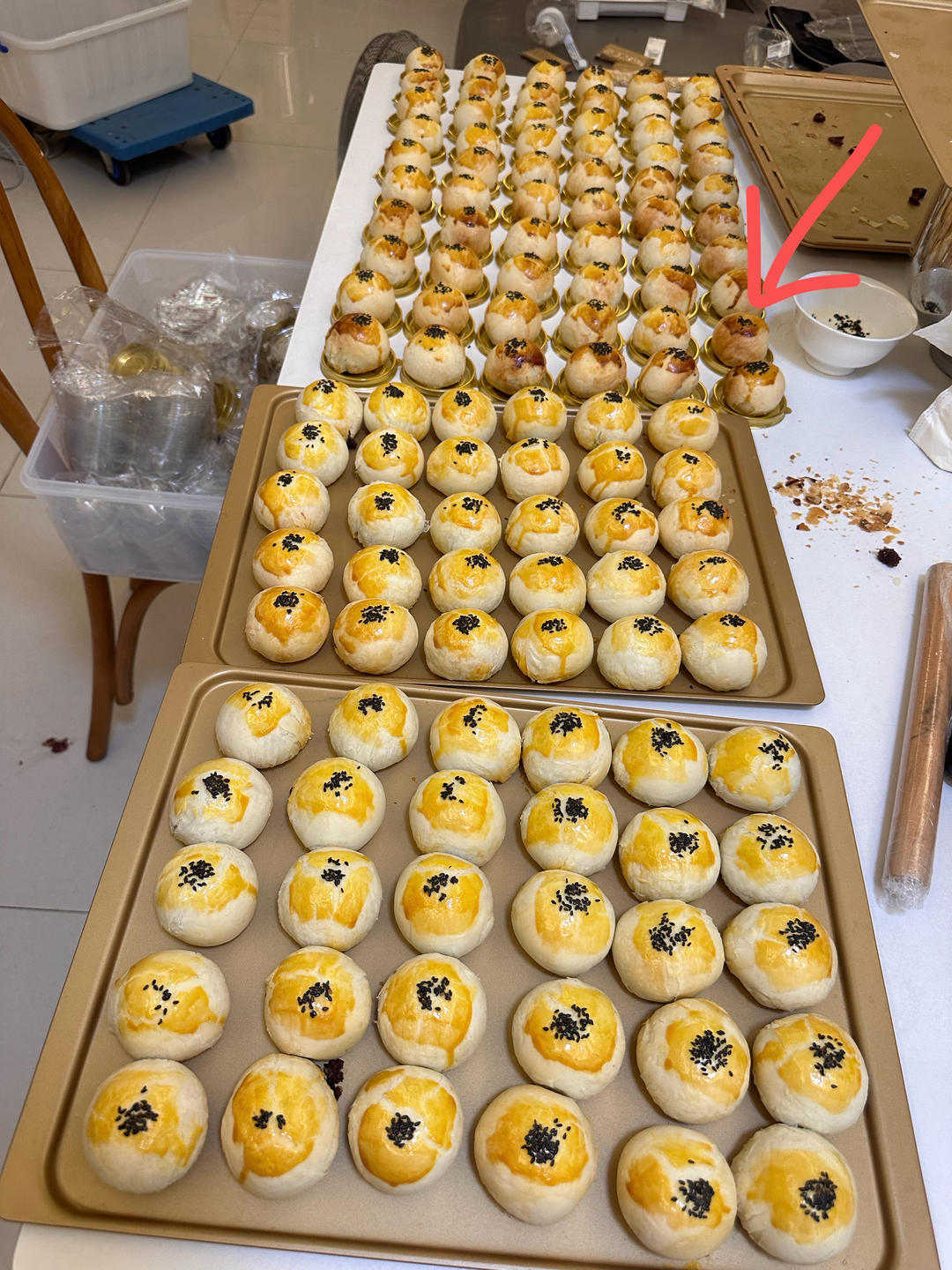 小熊玛德琳