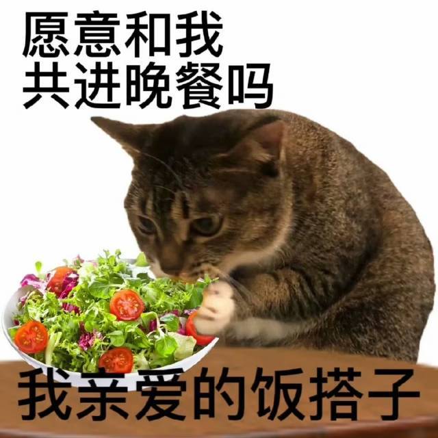 我没有冷脸哦