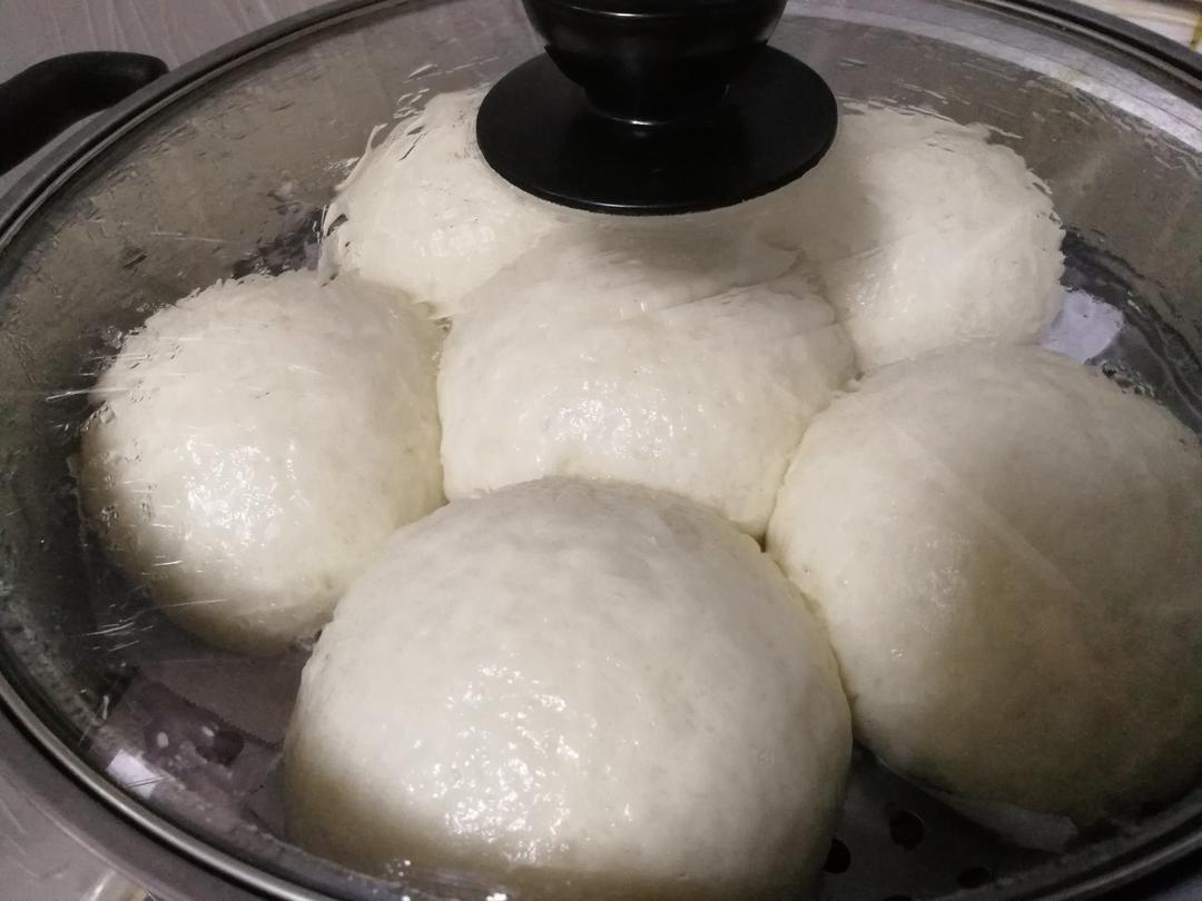 猪肉包子（附视频。一次性发酵。）