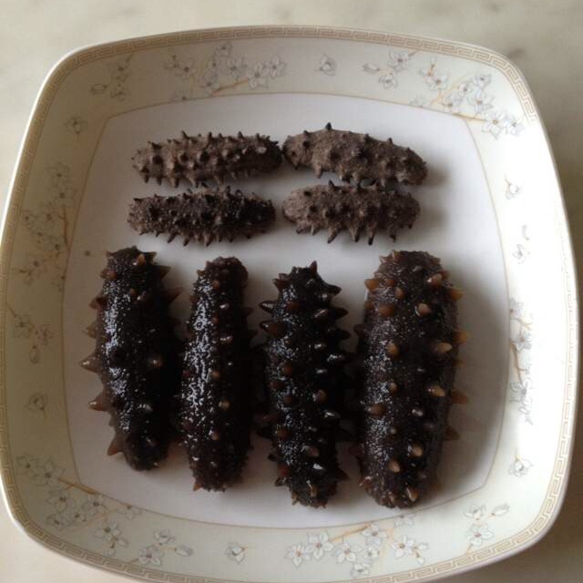 海参泡发攻略