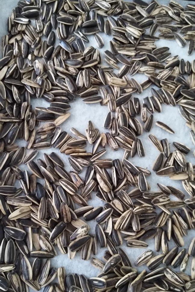 邵rose做的烤五香葵花籽