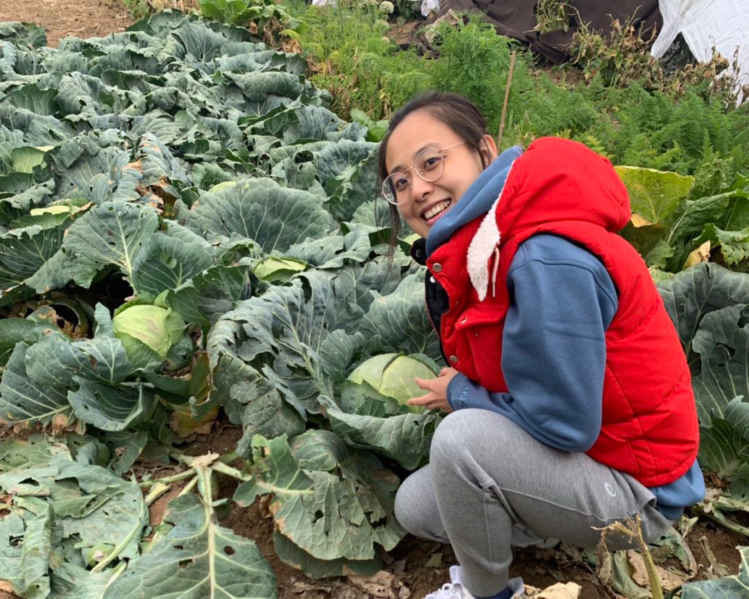 种蔬菜（记录2020年最后一茬儿）的做法 步骤7