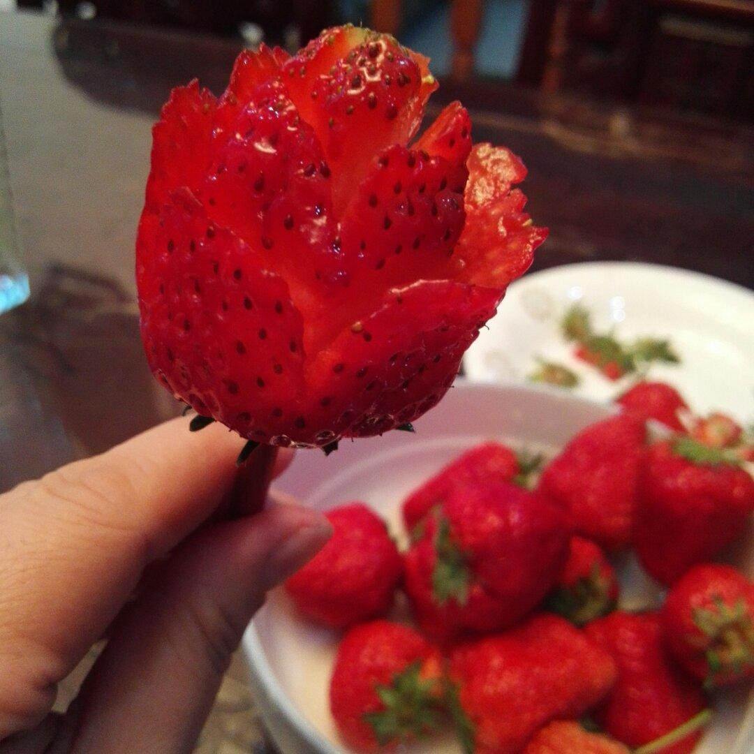 玫瑰花草莓
