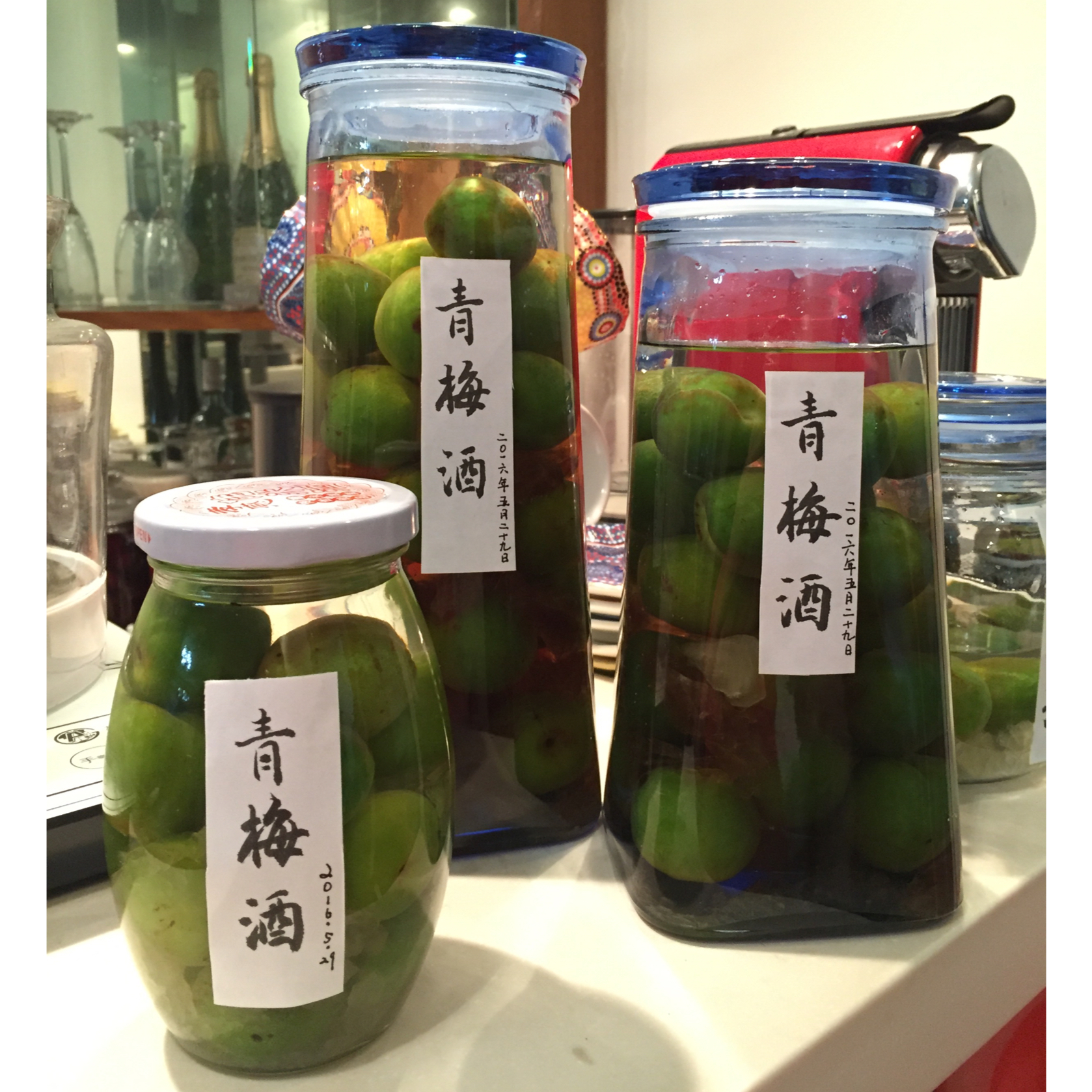 【青梅酒】梅子的沉醉时光（已填坑）