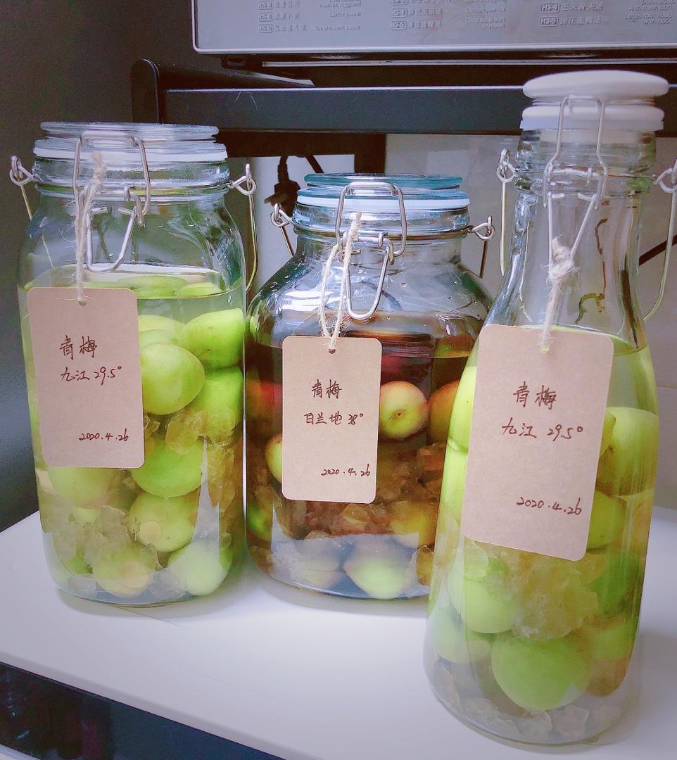 【青梅酒】梅子的沉醉时光（已填坑）