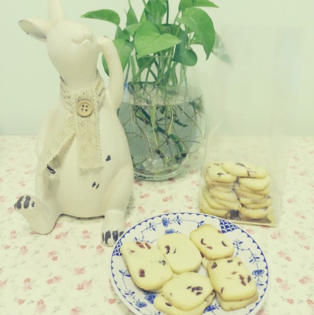 蔓越莓饼干