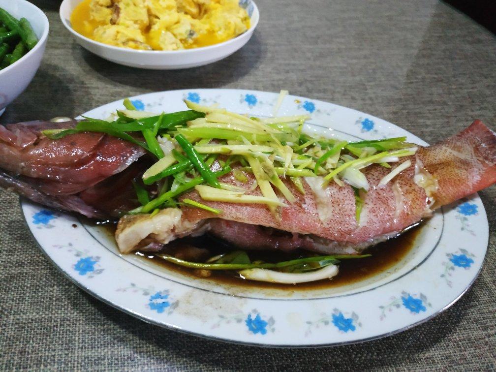 清蒸鱼的基本做法-清蒸东星斑