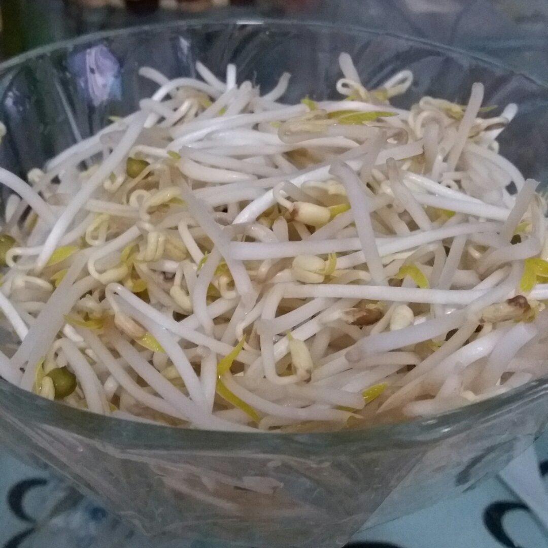 自发豆芽（可乐瓶发豆芽0失败！）