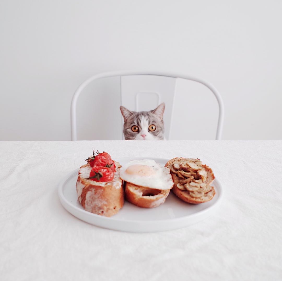 圣诞头盘：意大利bruschetta