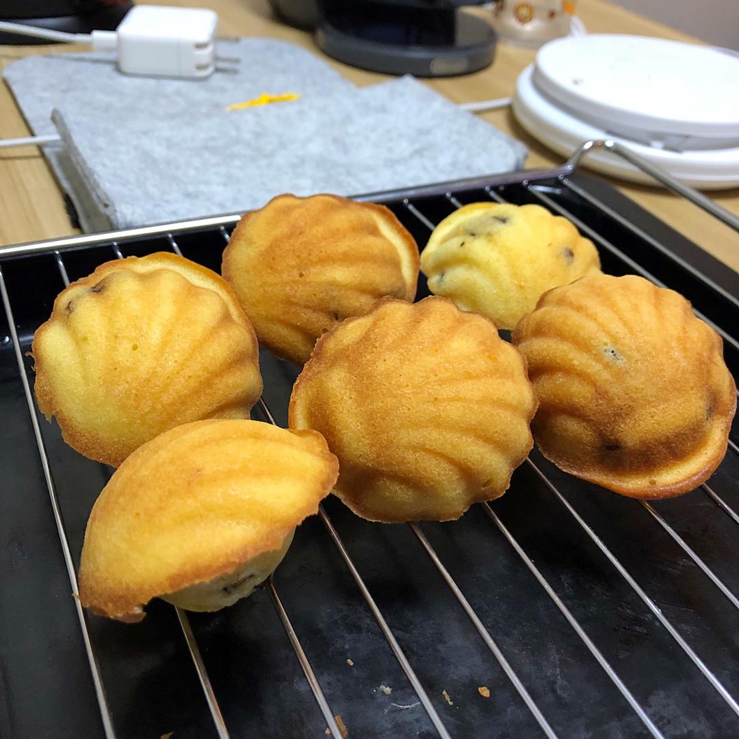 蔓越莓玛德琳