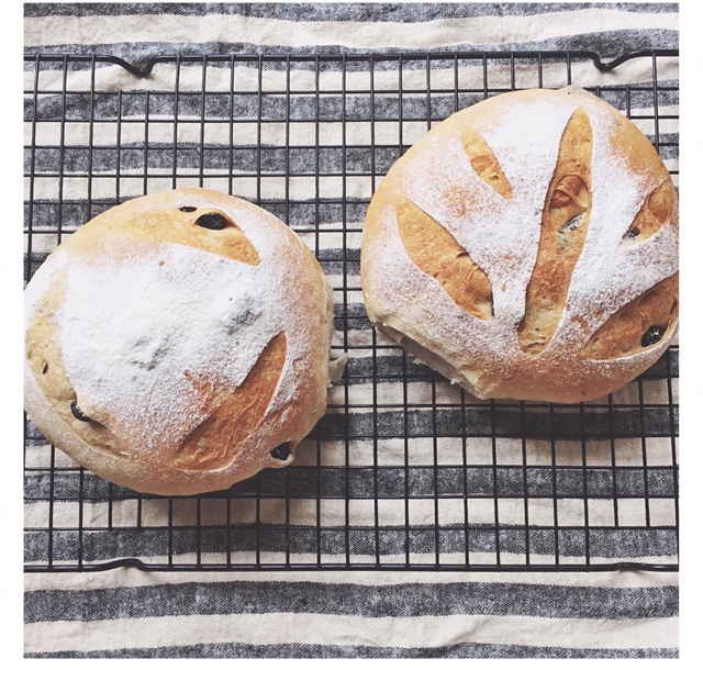 黑麦蔓越莓软欧包