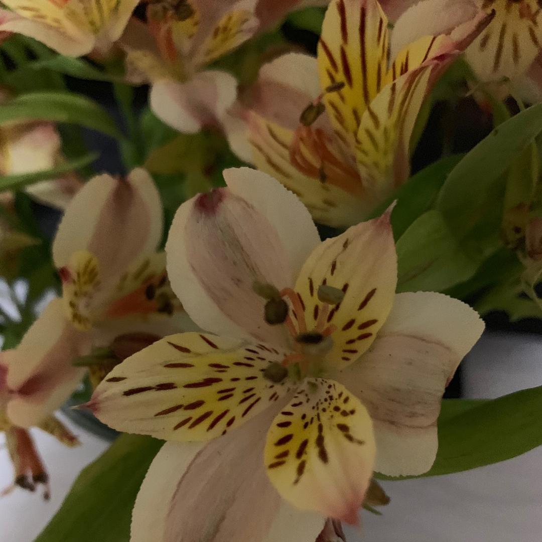 哆米麻麻的小厨房