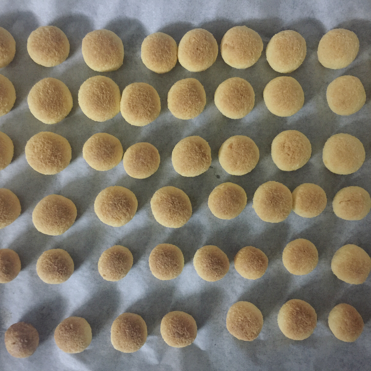 宝宝零食～椰蓉球