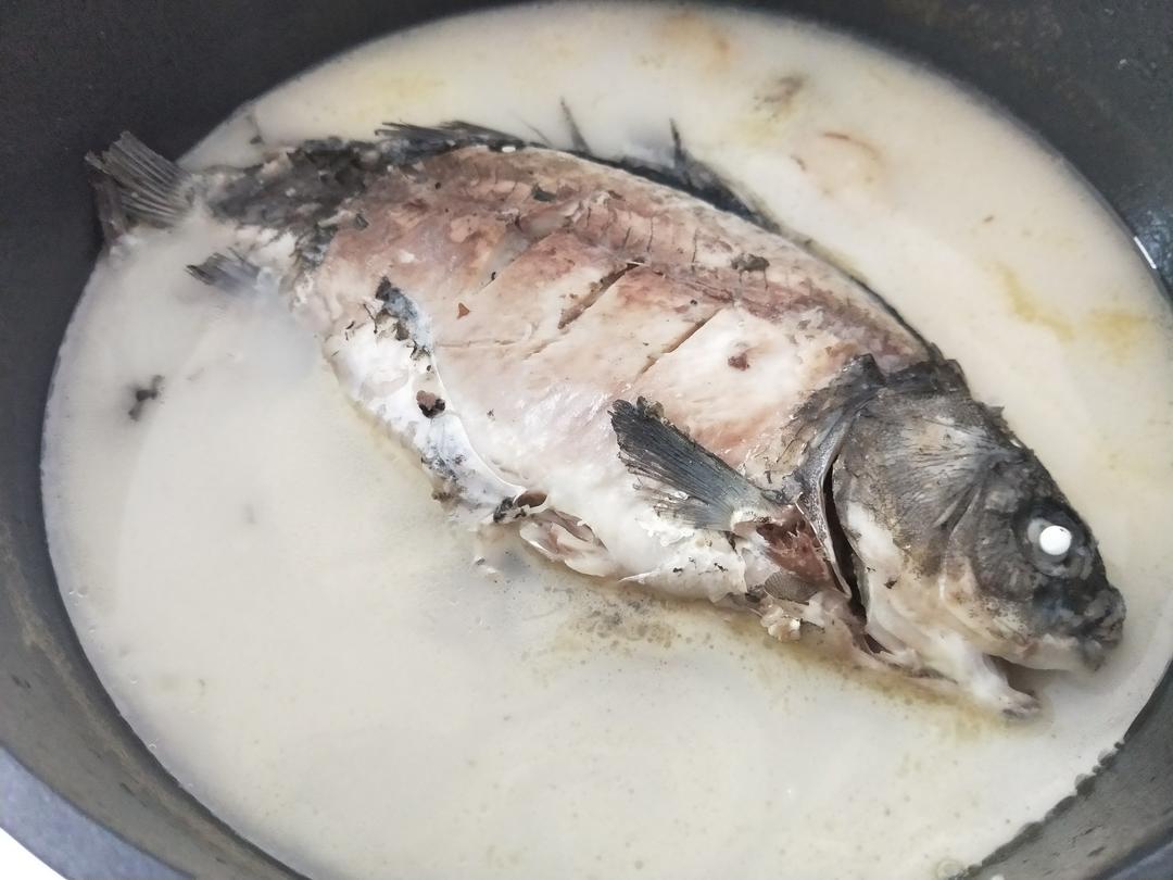 奶白鲫鱼汤