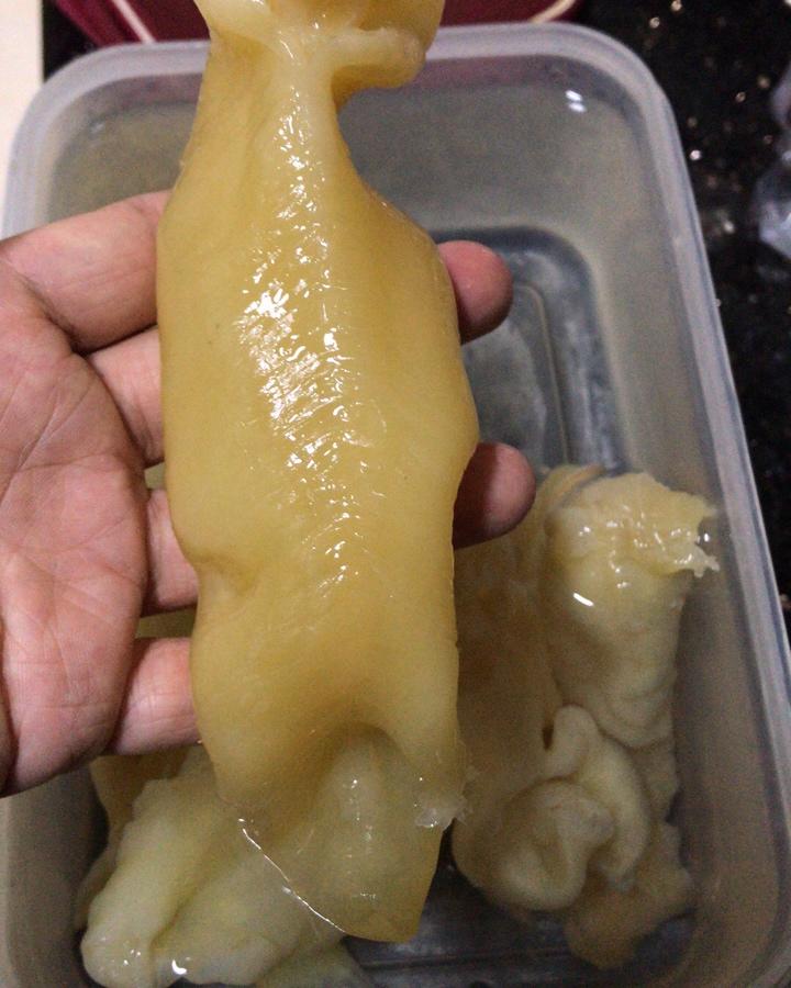 如何泡发鱼胶花胶 黄花胶