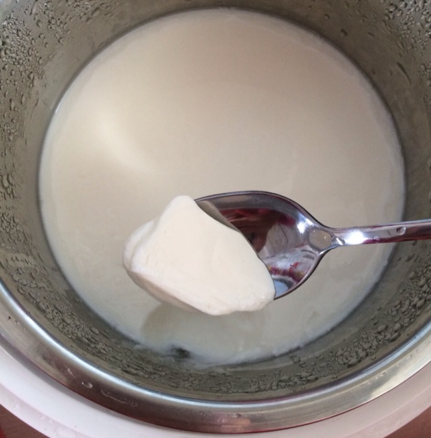 自制老酸奶(步骤全)