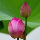 手机用户3852_e1w0