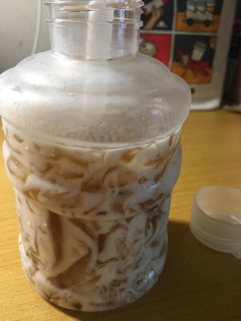 海底椰菊花雪梨膏