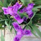 和时间赛跑_6p5n