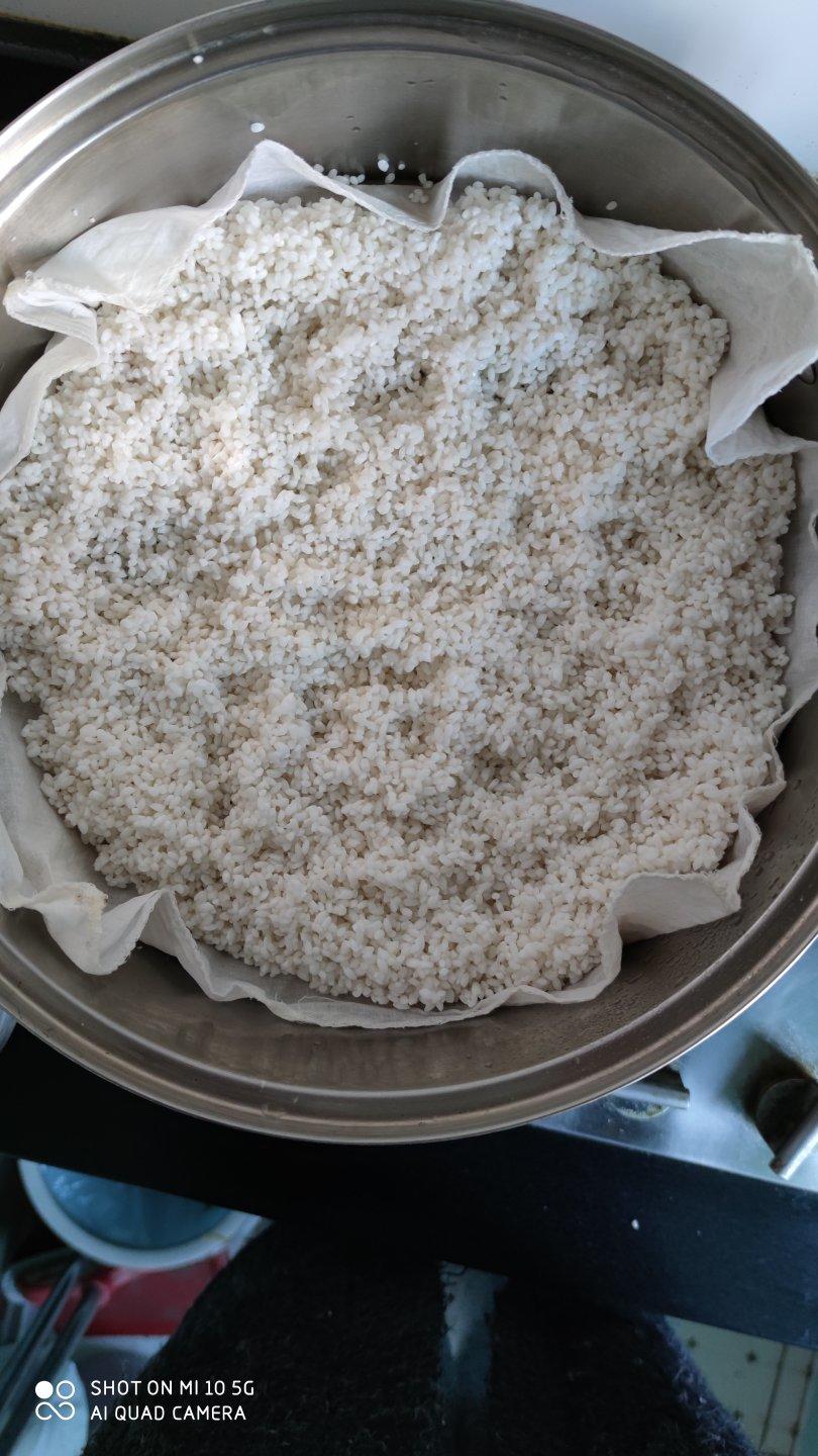 酒酿 (酒酿系列一）