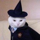 取个响亮的名号