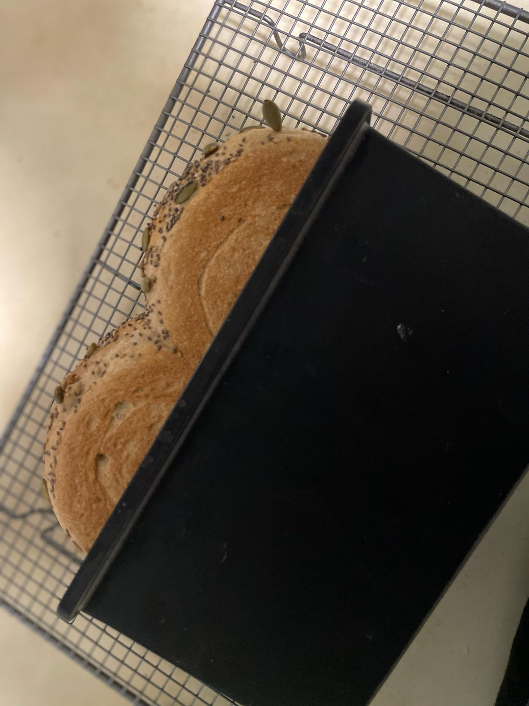 干酵母面包46:  全麦吐司