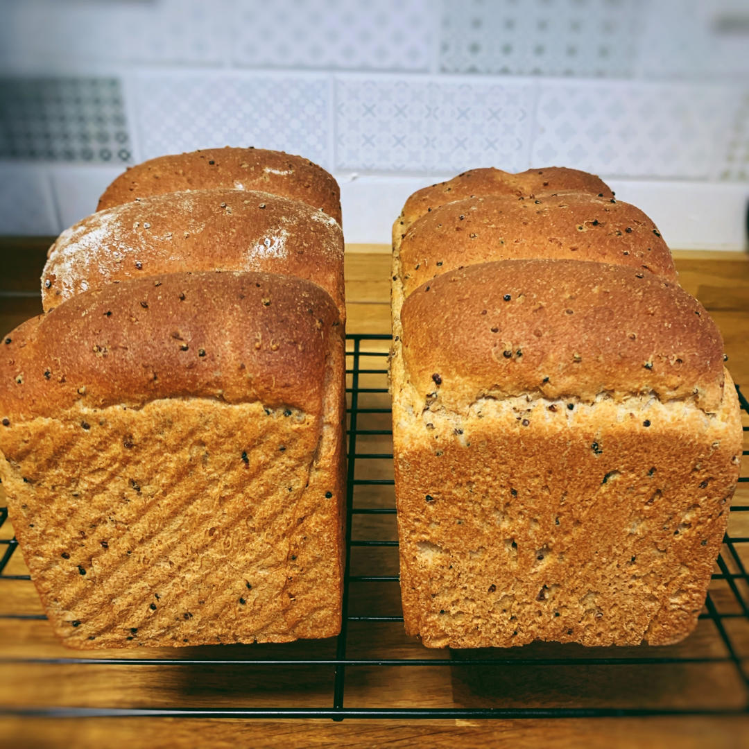 100%纯全麦藜麦吐司 波兰种