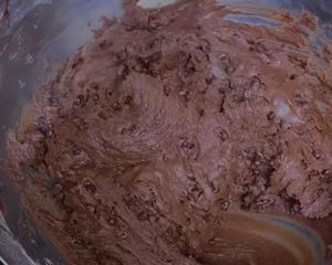 巧克力豆曲奇(Chocolate Chip Cookies)的做法 步骤15