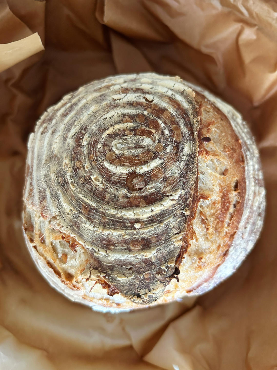 亚麻籽面包（免揉欧式面包）