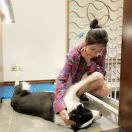 手机用户5202_8cqm