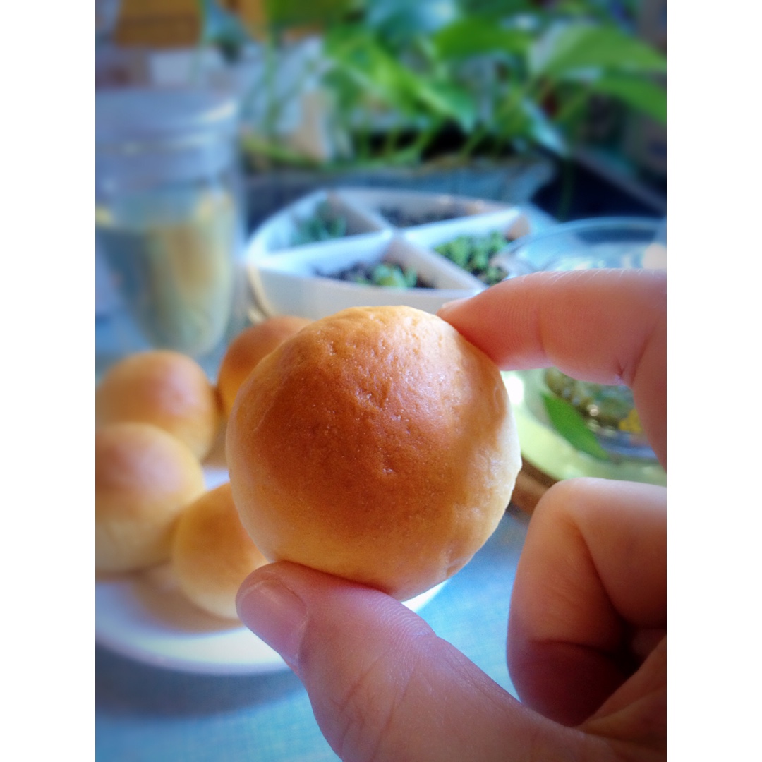 淡奶小面包