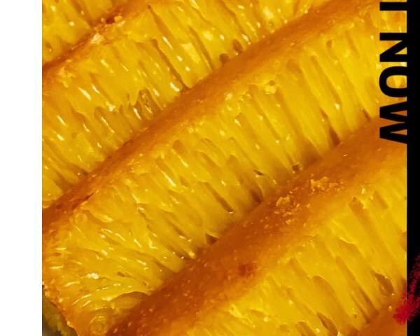 鱼翅黄金糕的做法 步骤10