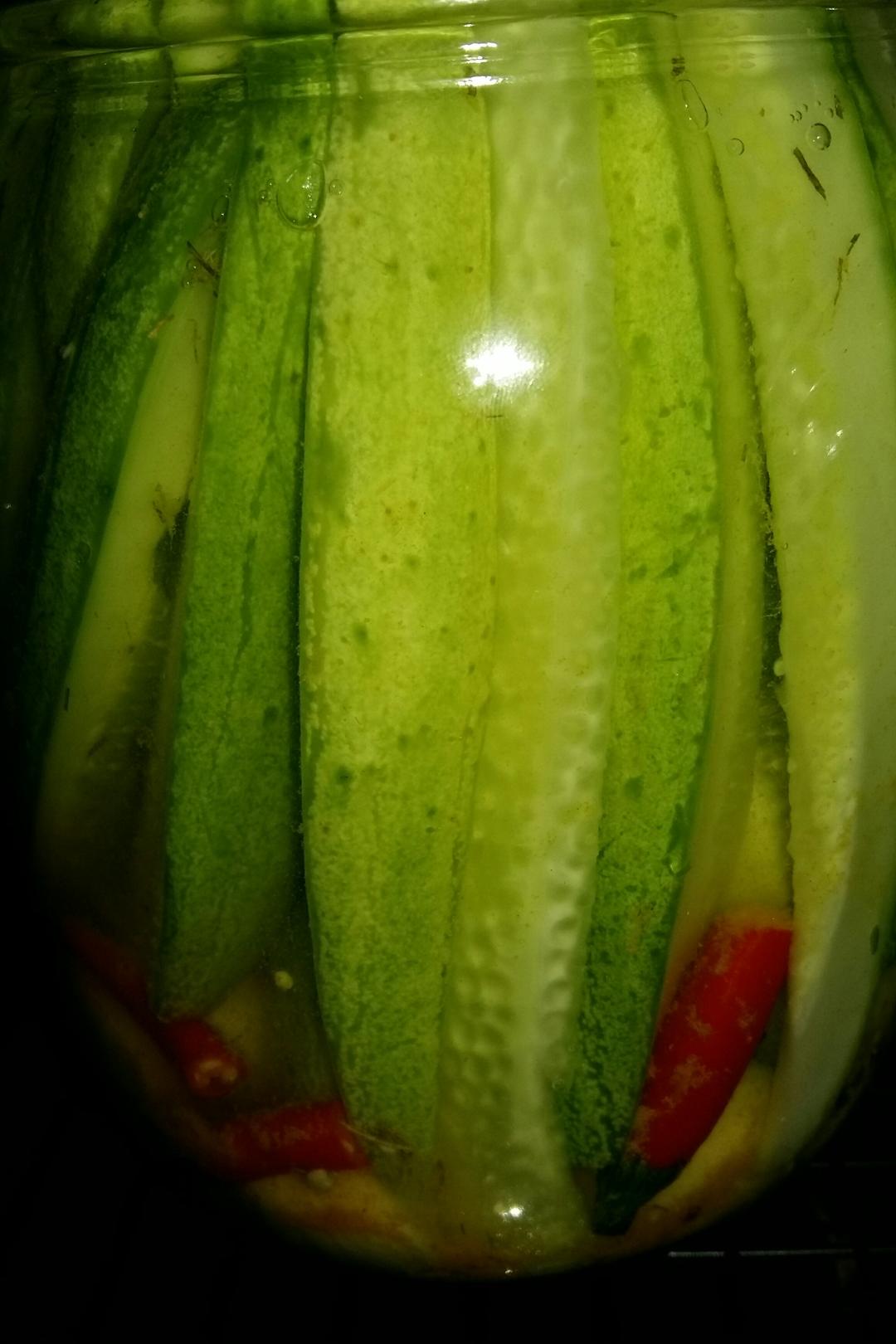 眠_lhwt做的【健康泡菜】美式酸黄瓜dill pickles