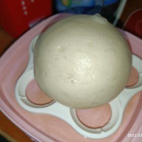 中式蒸包子（面团适用于鲜肉包，馒头，菜包均可）