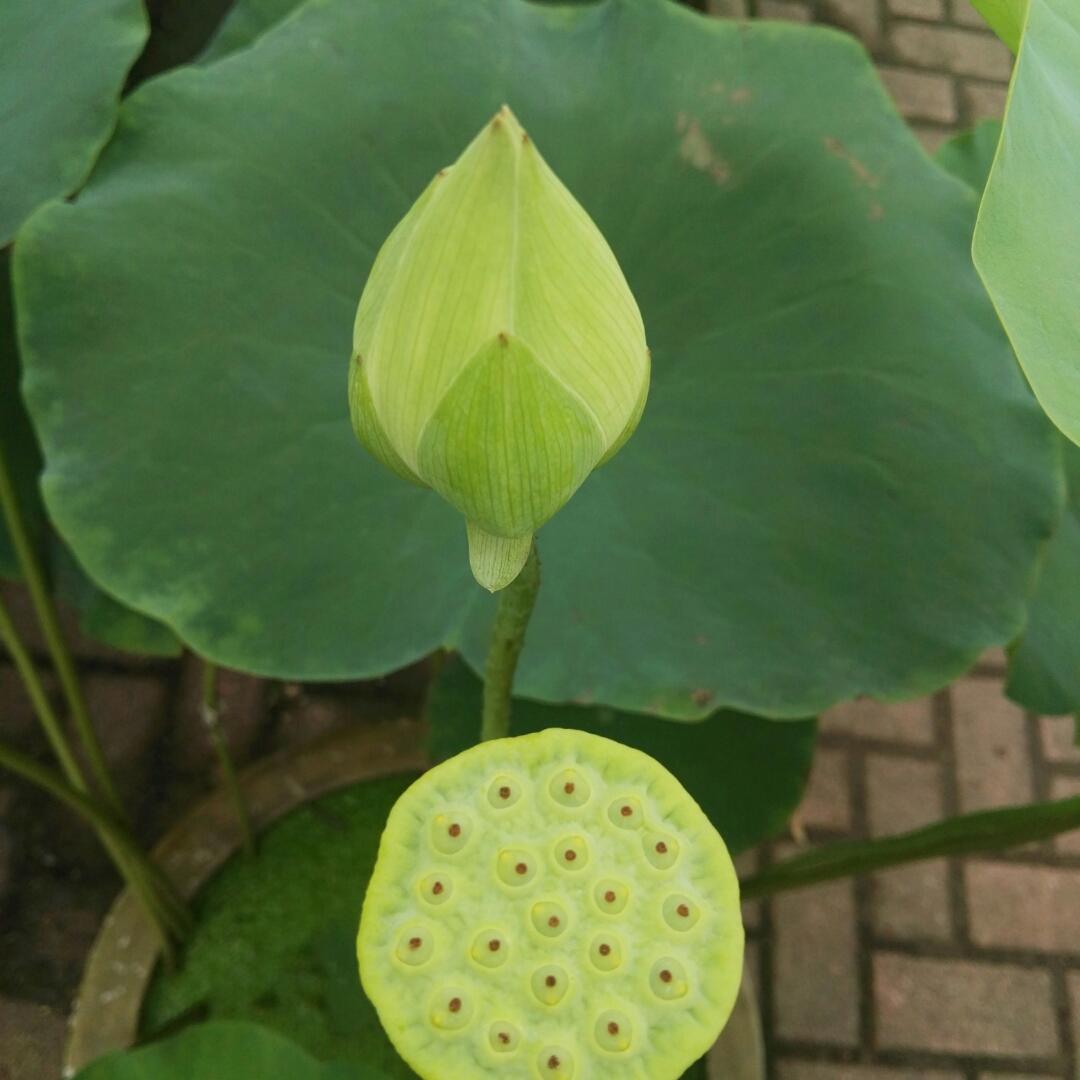 用心生活感悟美好