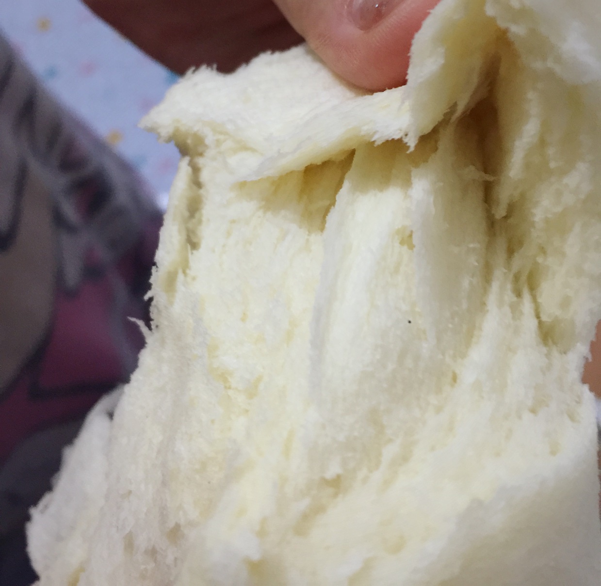 夺命软吐司(๑´ڡ`๑)超软拉丝极速方便的一次发酵吐司