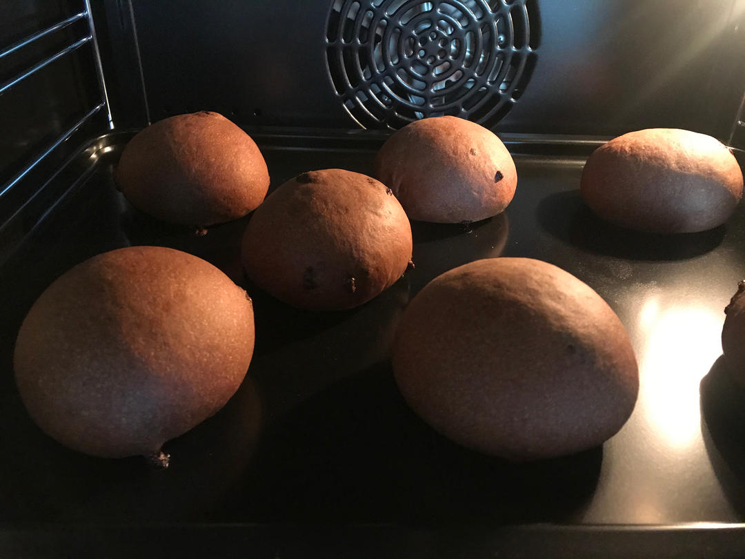 豪华版黑眼豆豆