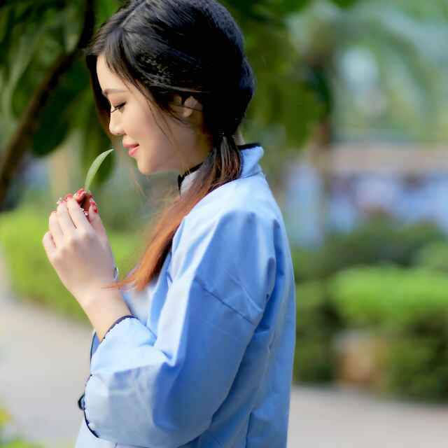 明月淡雅