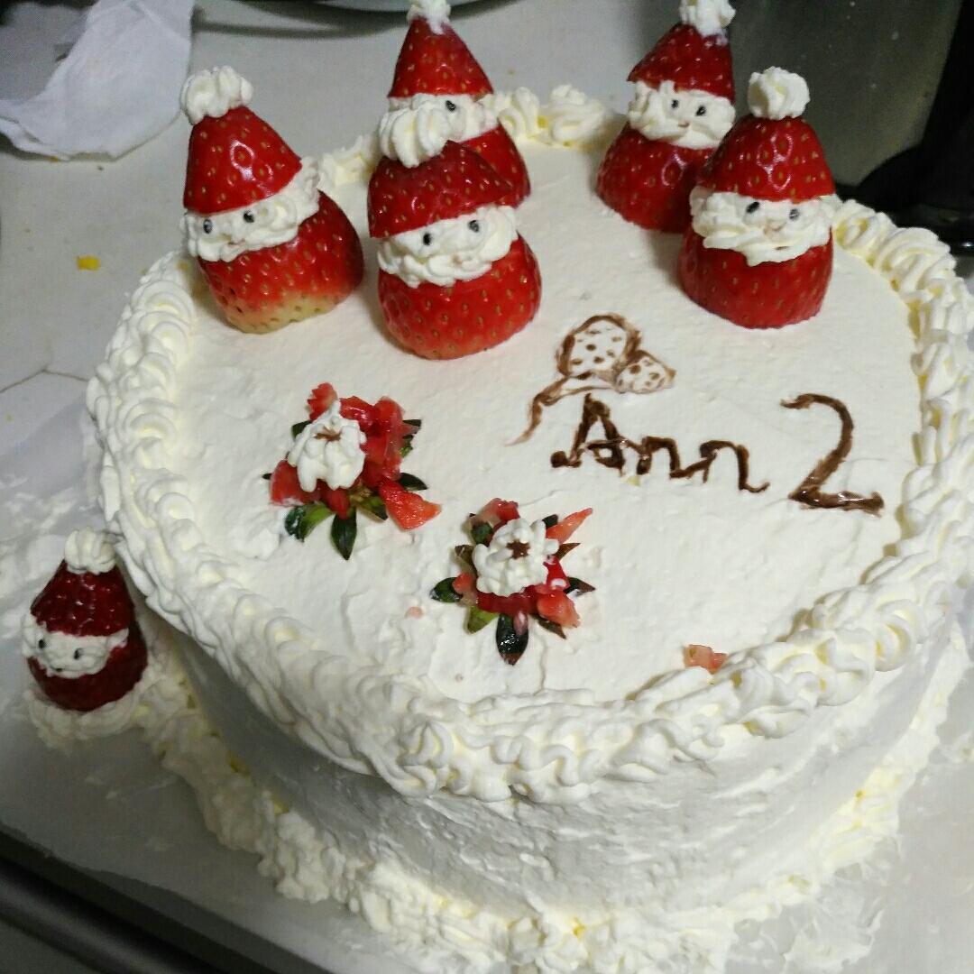 圣诞生日蛋糕