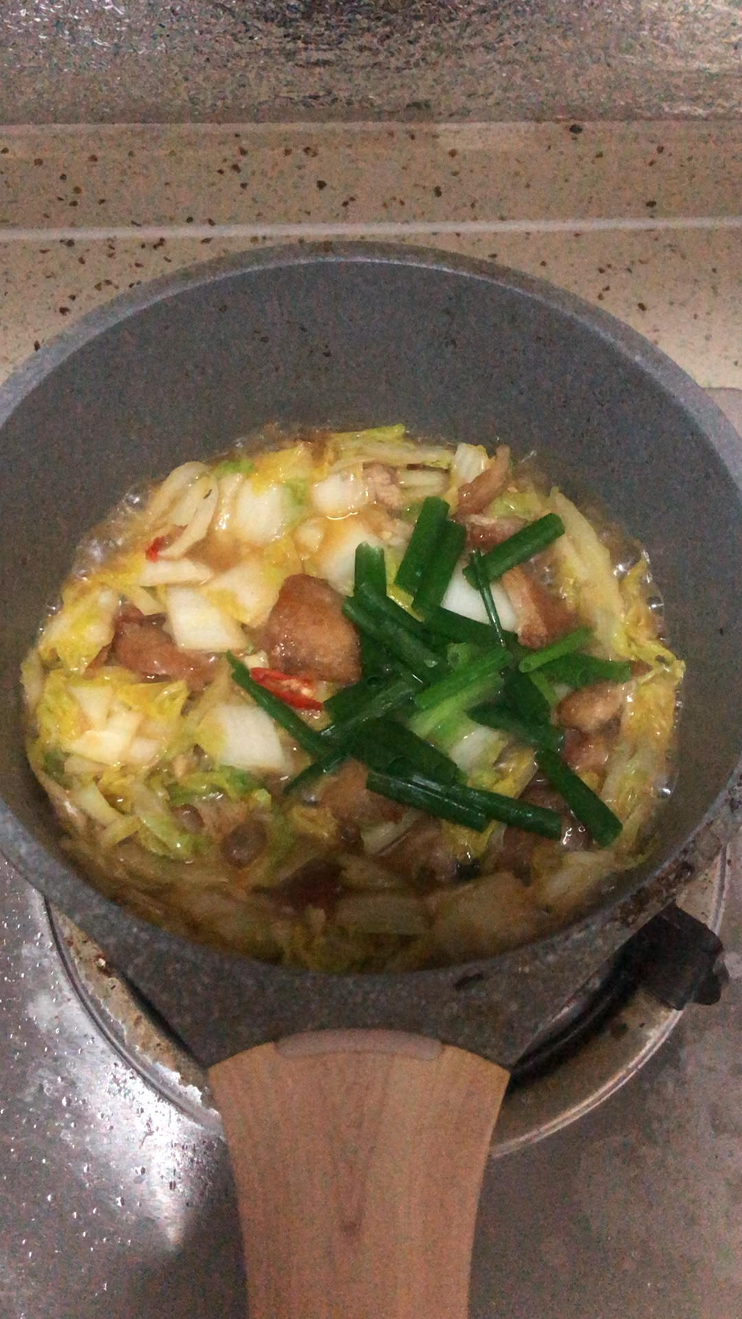 猪肉白菜炖粉条