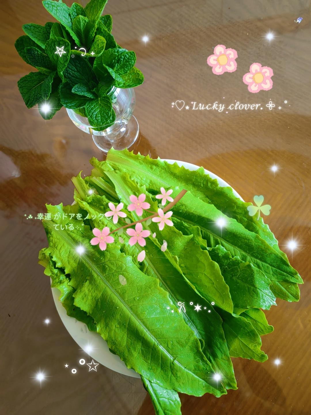 🌿🌿我的小菜园