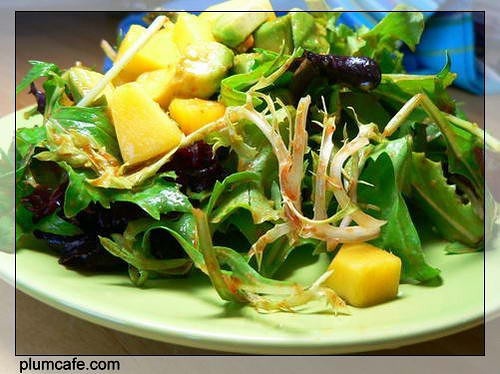 芒果鳄梨蔬菜沙拉的做法