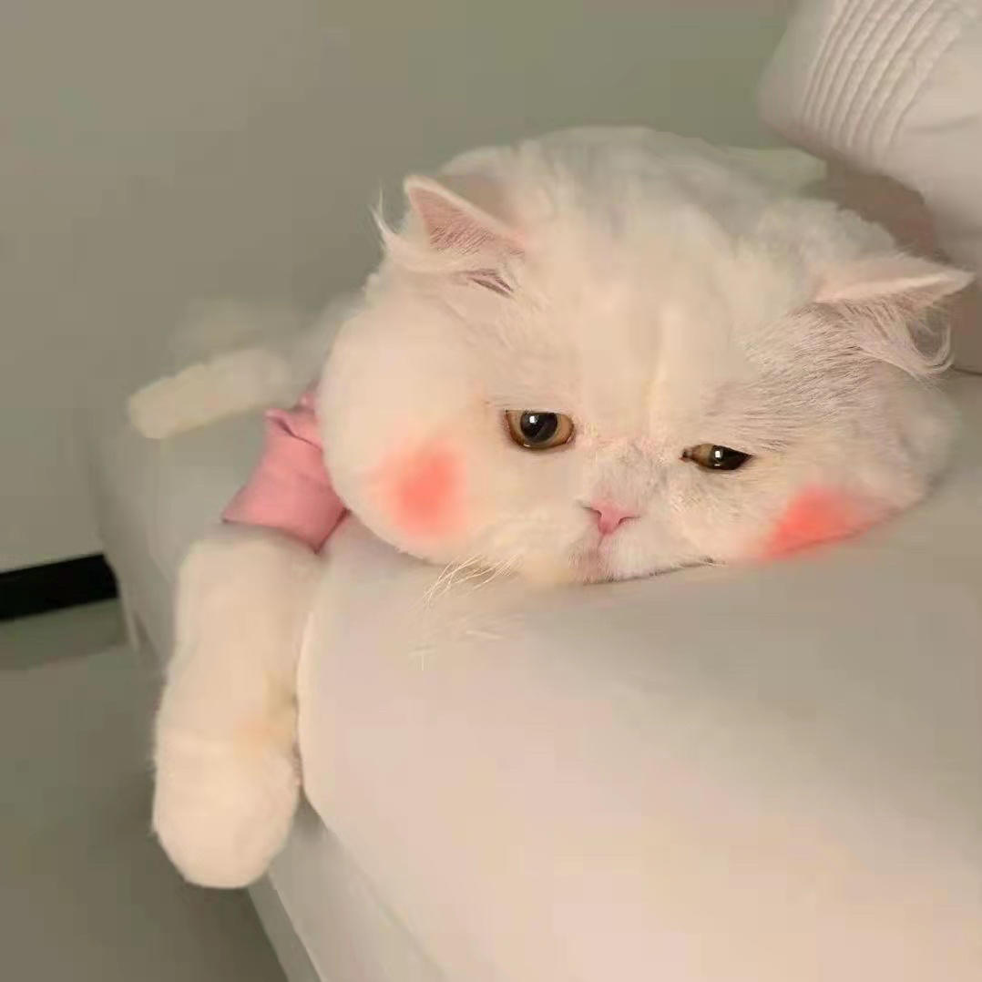 粥粥悅