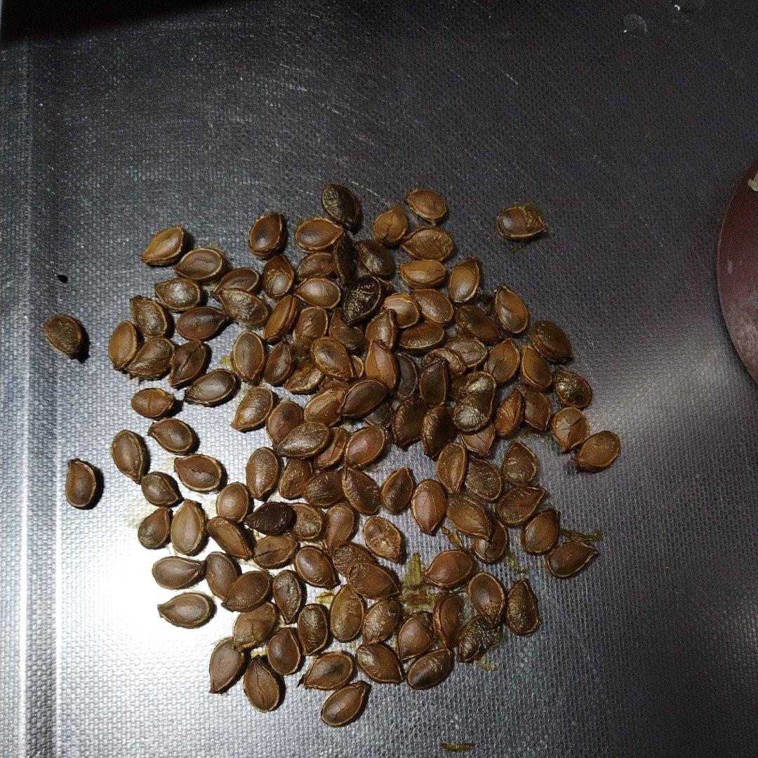 烤箱烤南瓜籽