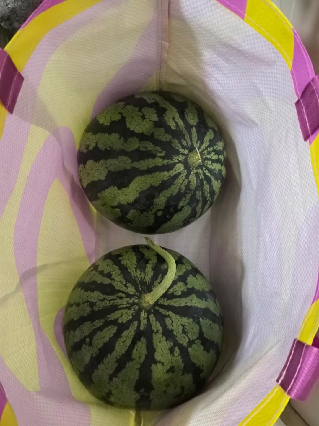 两个西瓜哥