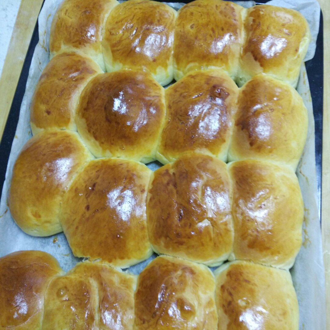 鲜奶油小餐包（一次发酵）