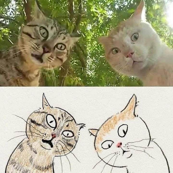 灵魂发问吃什么