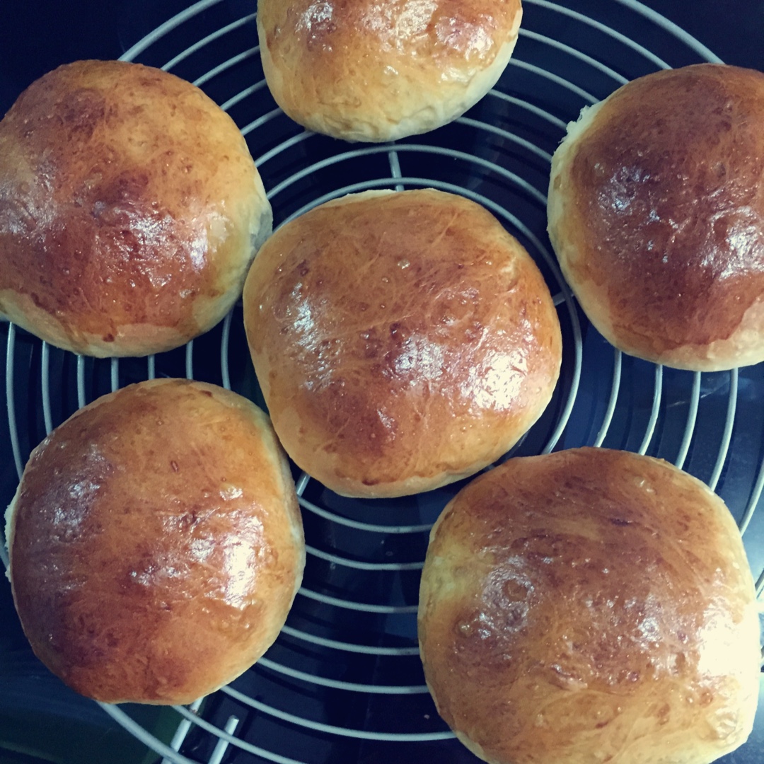 汉堡胚 poolish（波兰种）